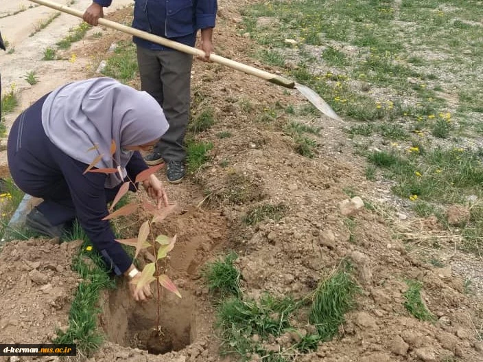 مراسم روز درختکاری  5