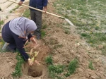 مراسم روز درختکاری  4