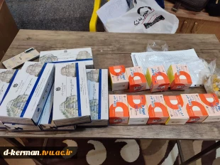 کارگاه آموزشی پدافند غیرعامل و ایمنی در خوابگاه با همکاری علوم پزشکی کرمان 3