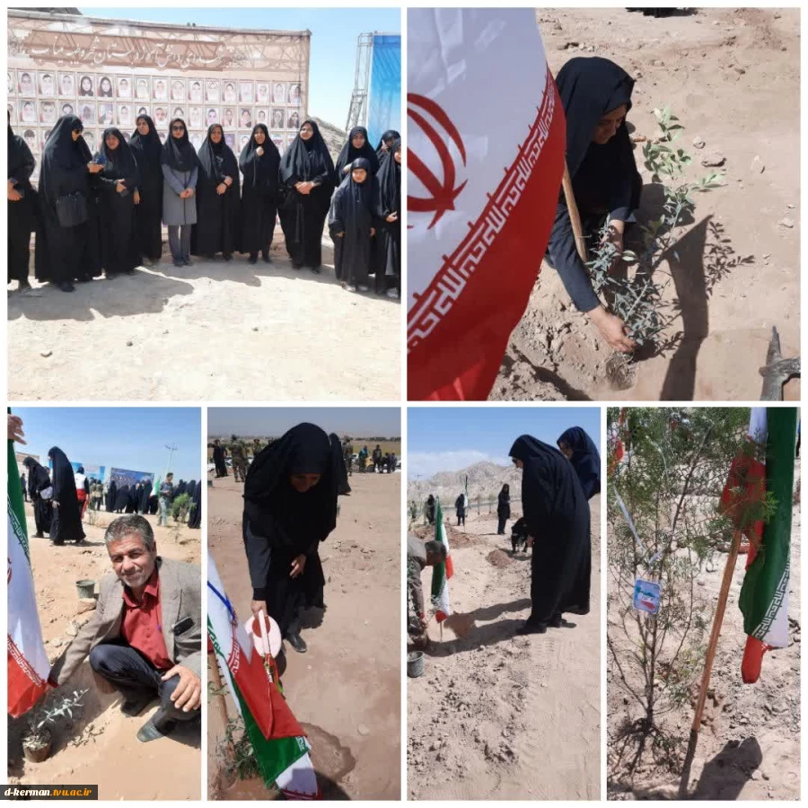 حضور کارکنان آموزشکده دختران کرمان در پویش درختکاری ۱+۱۶۵»
 2